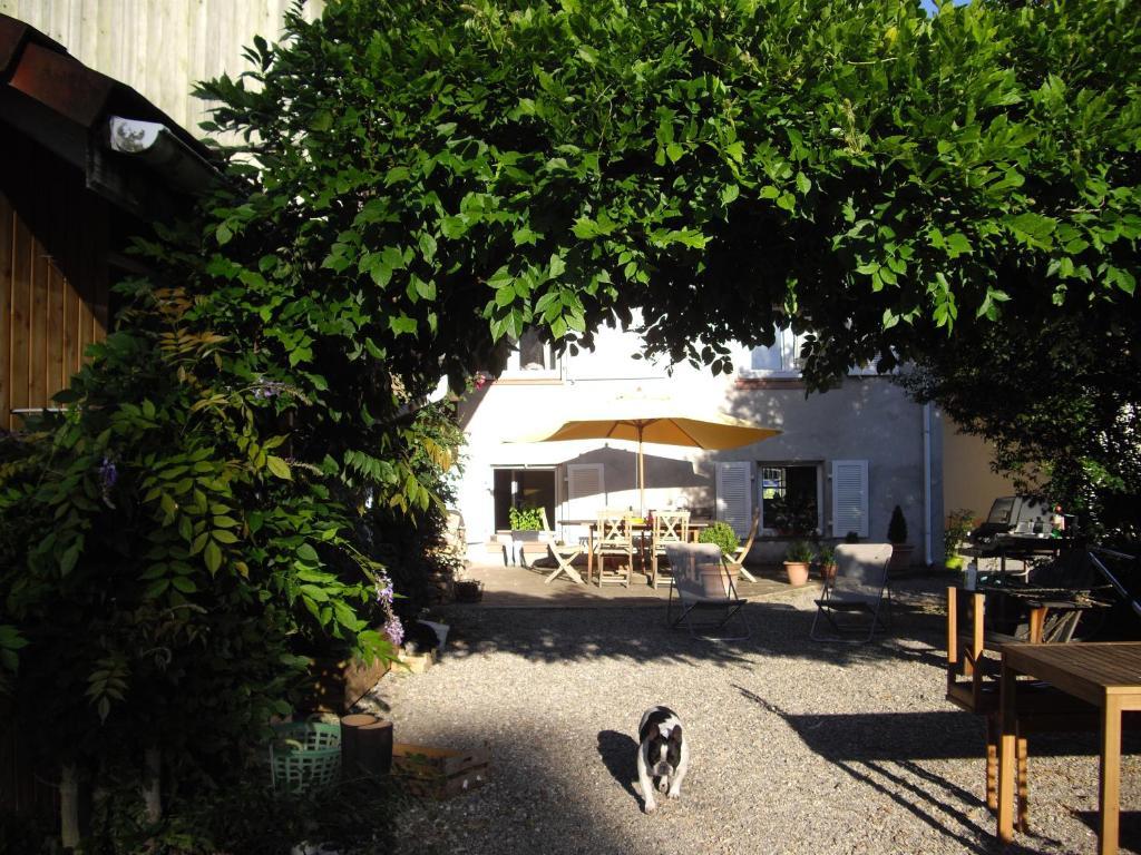 Les Arts Verts Kruth Exterior foto